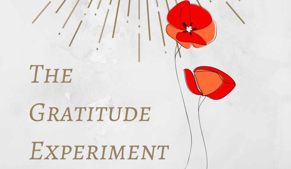 The Gratitude Experiment